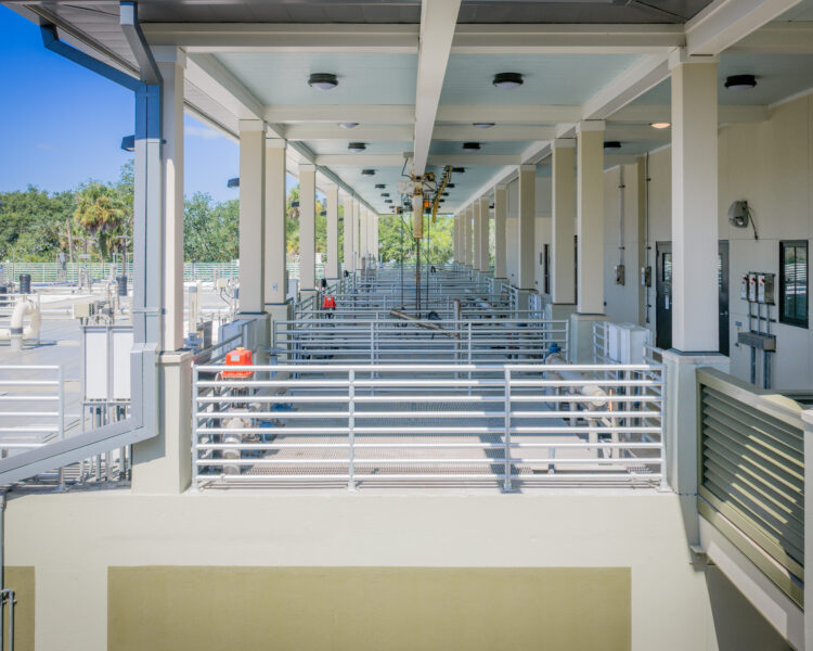Outdoor animal pens with metal railings and overhead fans.