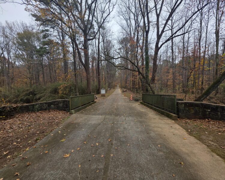Un sendero y un pequeño puente en un bosque desnudo y cubierto de hojas.
