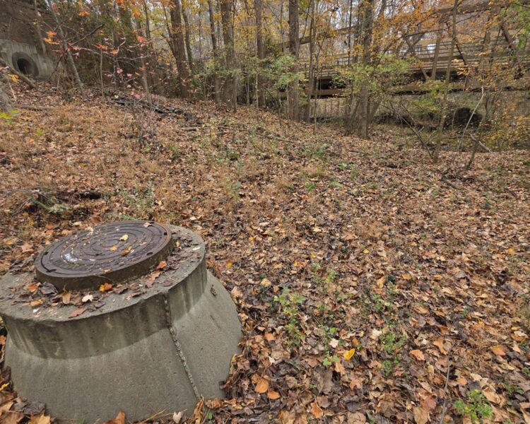 Boca de alcantarilla con tapa metálica sobre el suelo frondoso del bosque, con un puente al fondo.