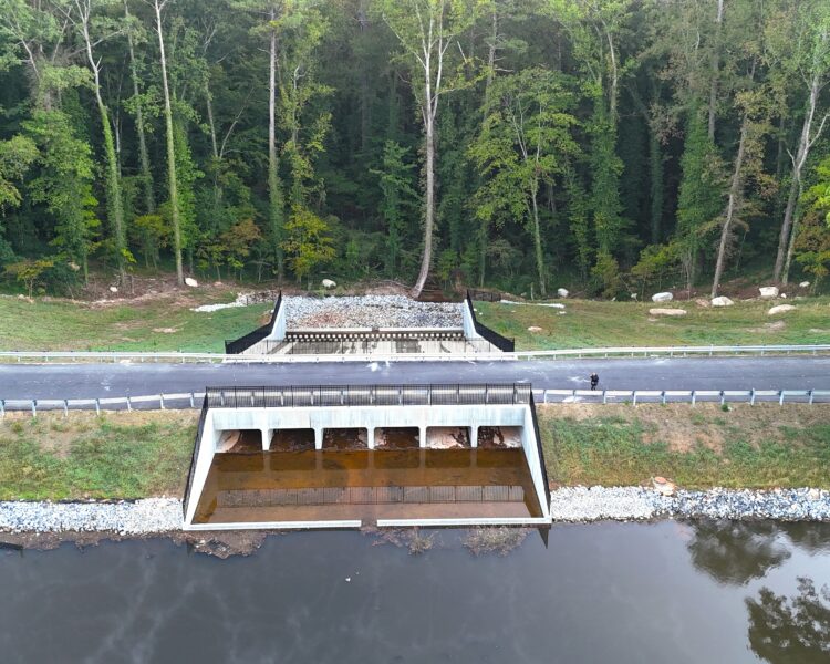 Un puente con calzada y barreras de seguridad cruza el río en medio de la vegetación.