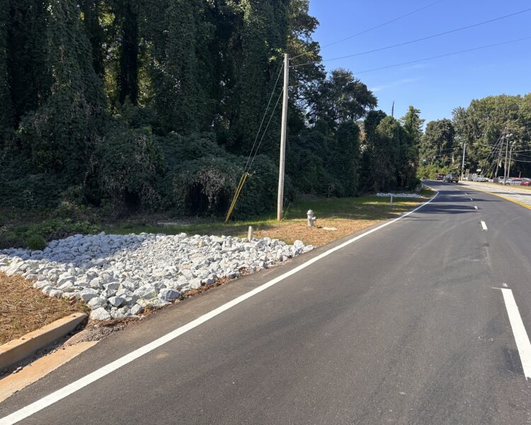 Carretera asfaltada, drenaje de roca blanca, vegetación verde, postes eléctricos.
