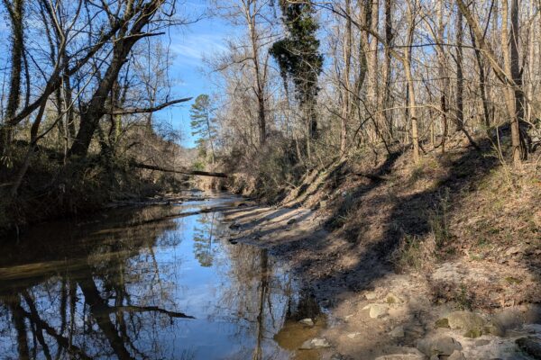 Un arroyo poco profundo con árboles desnudos, orillas rocosas y reflejos.