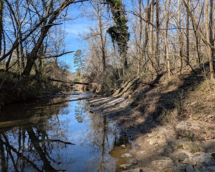 Un arroyo poco profundo con árboles desnudos, orillas rocosas y reflejos.