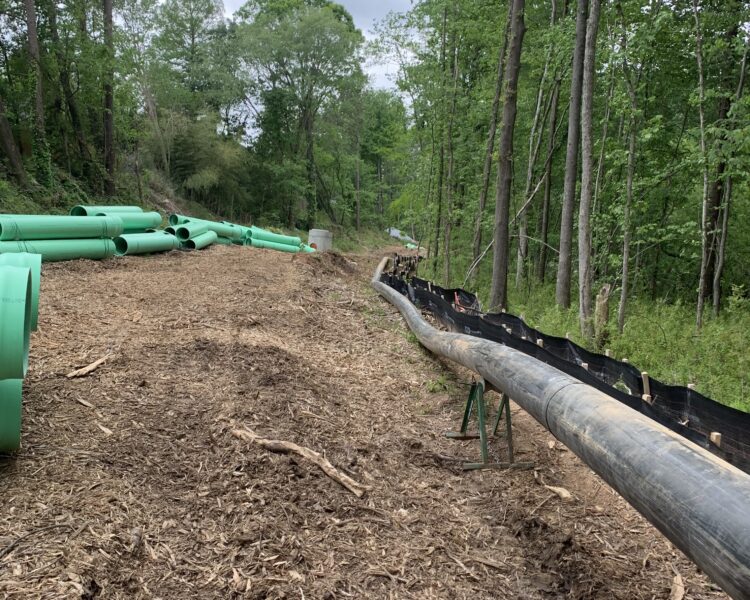 Green and black pipes on a dirt path in the woods.