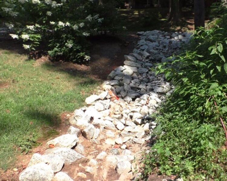 Dry white rock creek bed winds through grassy, planted yard.