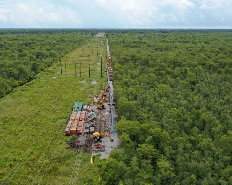 Vista aérea: vehículos, contenedores y líneas eléctricas atraviesan el bosque.